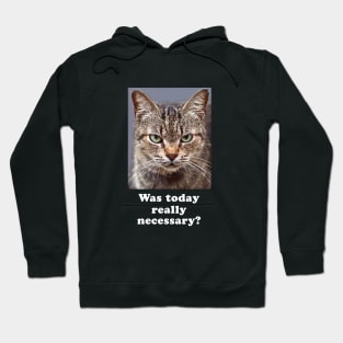 Funny Sarcastic Grumpy Kitty Cat for Men and Women Hoodie